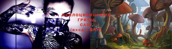 спиды Осинники