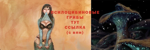 a pvp Осташков