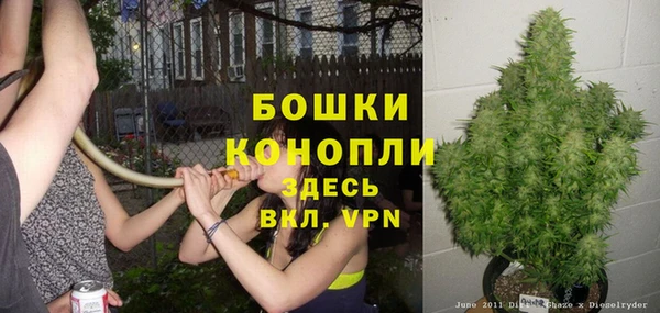 PSILOCYBIN Слюдянка