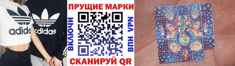 дарнет шоп  Кстово  Марки 25I-NBOMe 1500мкг 