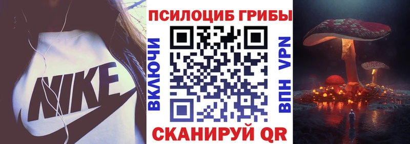 Псилоцибиновые грибы Cubensis  Кстово 
