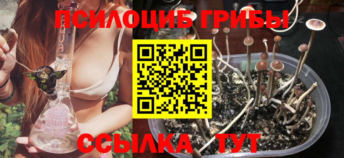 Псилоцибиновые грибы GOLDEN TEACHER  Кстово 