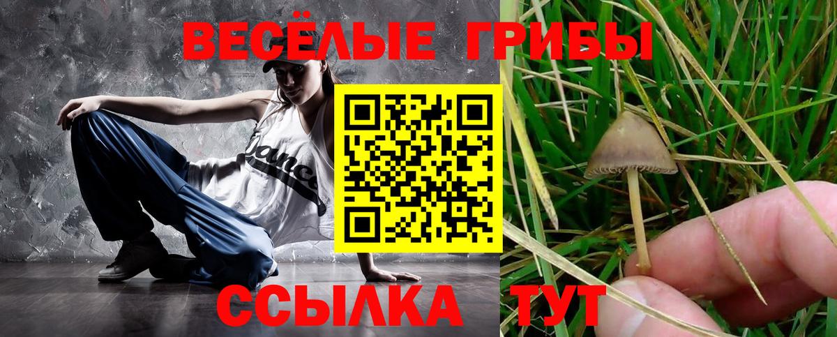 Галлюциногенные грибы Magic Shrooms  Вход с VPN  Кстово 